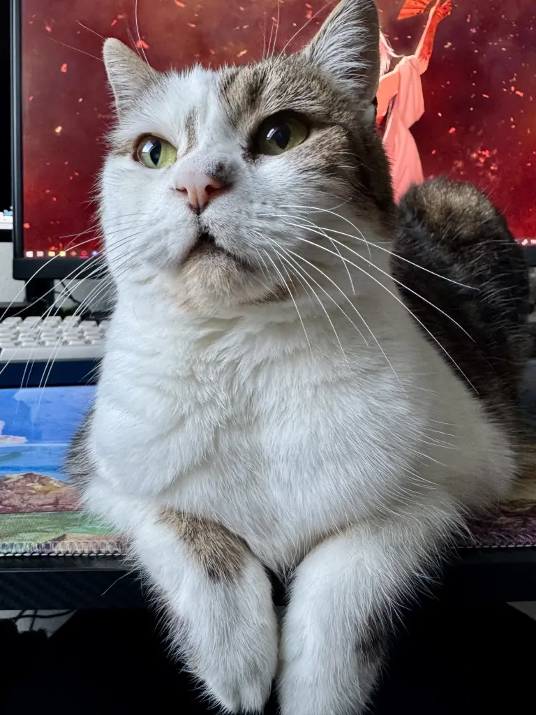 Image from Cookie