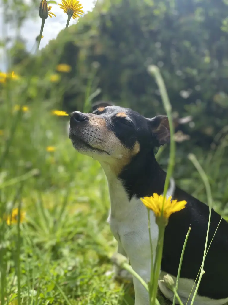 Bild von Elly
