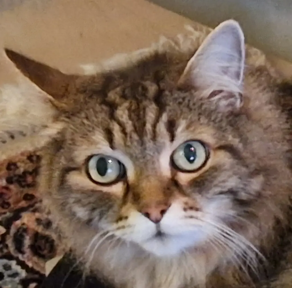 Bild von Diego