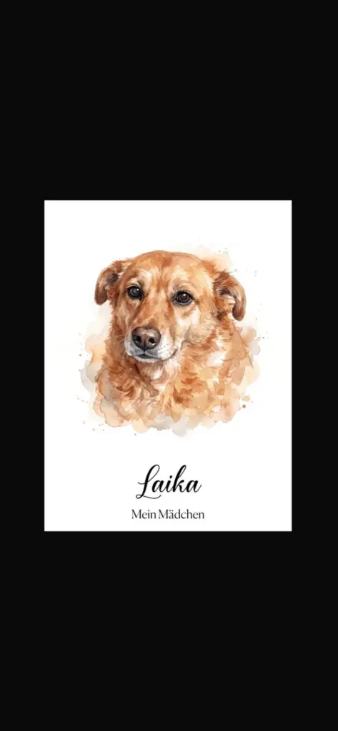 Image from Laika