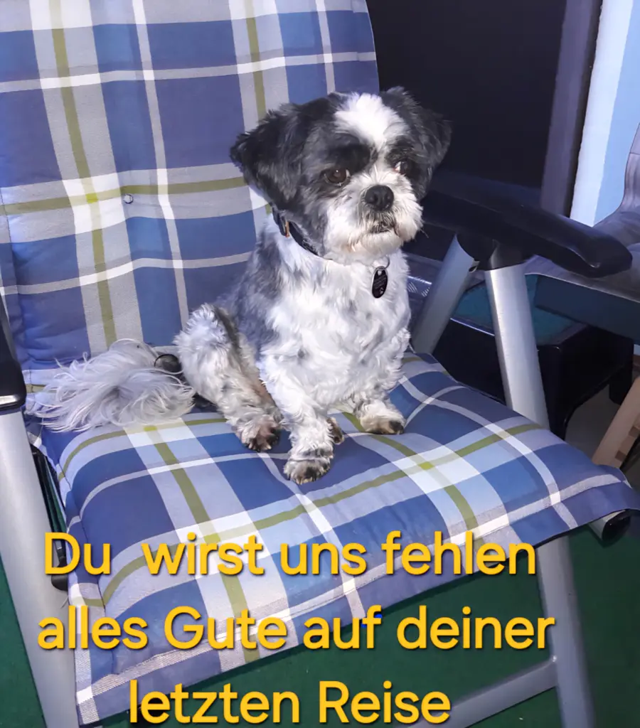 Bild von Benni