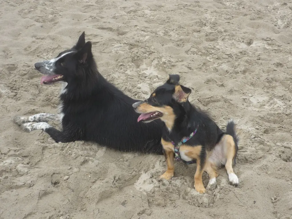 Condolence image of Dirk & Sonja