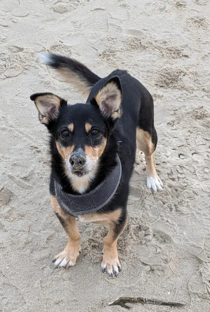 Bild von Frieda