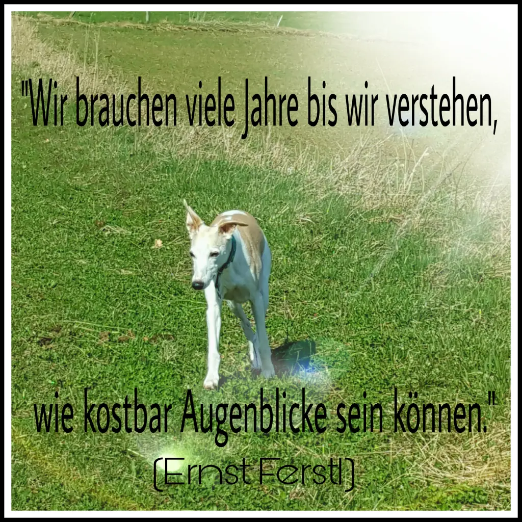 Image from Sissi
