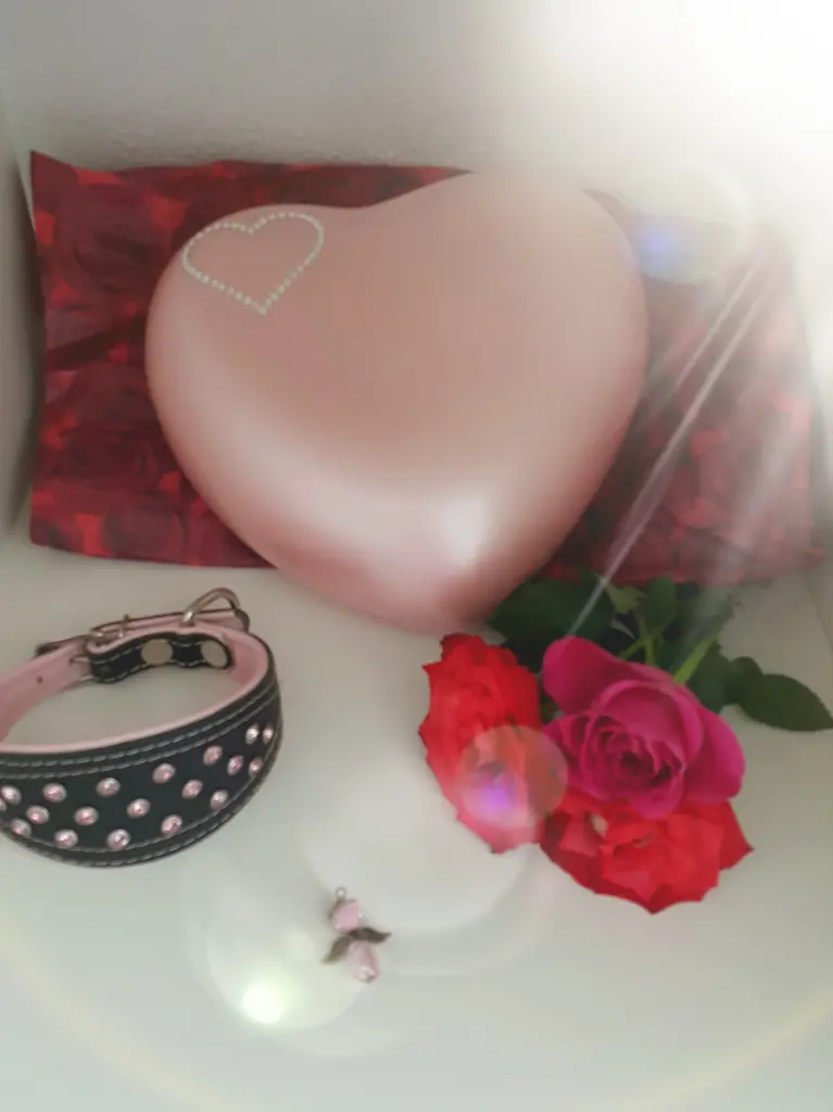 Image from Sissi