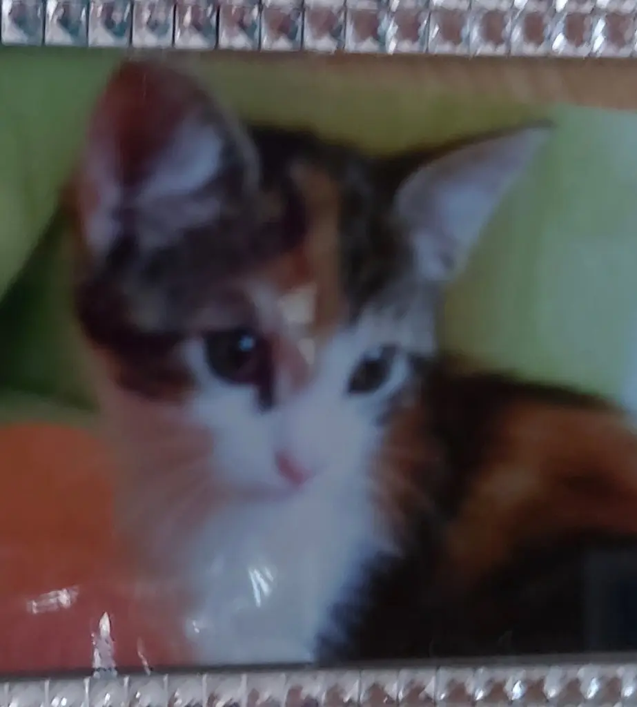 Unser Baby