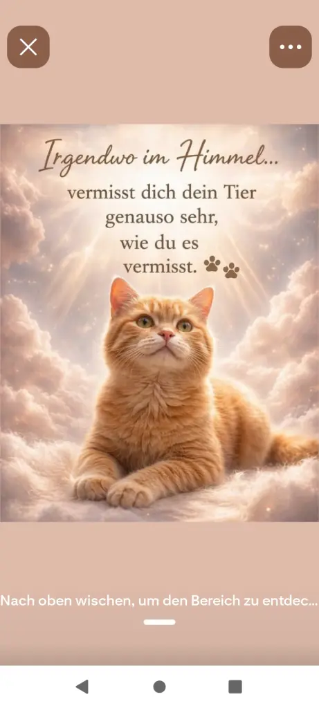 Condolence image of Claudia Margit Sieber