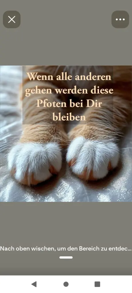 Condolence image of Claudia Margit Sieber