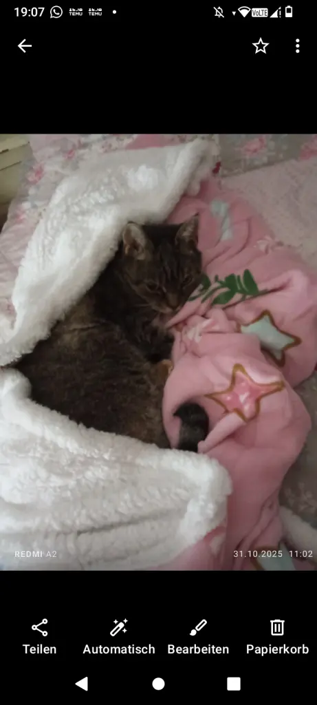 Beim Kuscheln