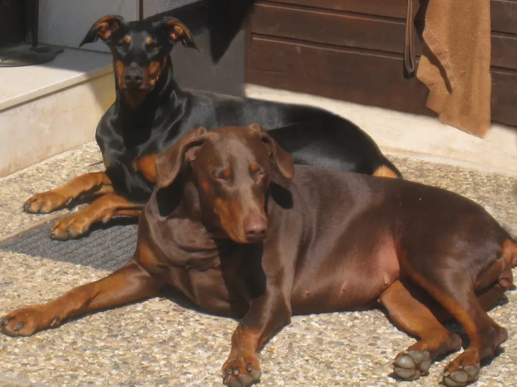 Condolence image of Katarzyna und Megi