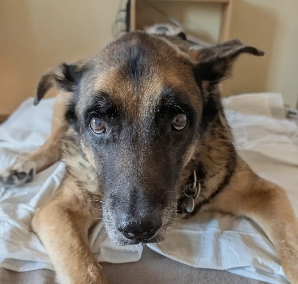 Condolence image of Sascha