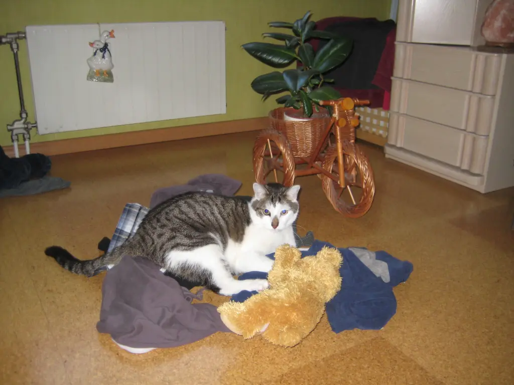 Bild von Nele
