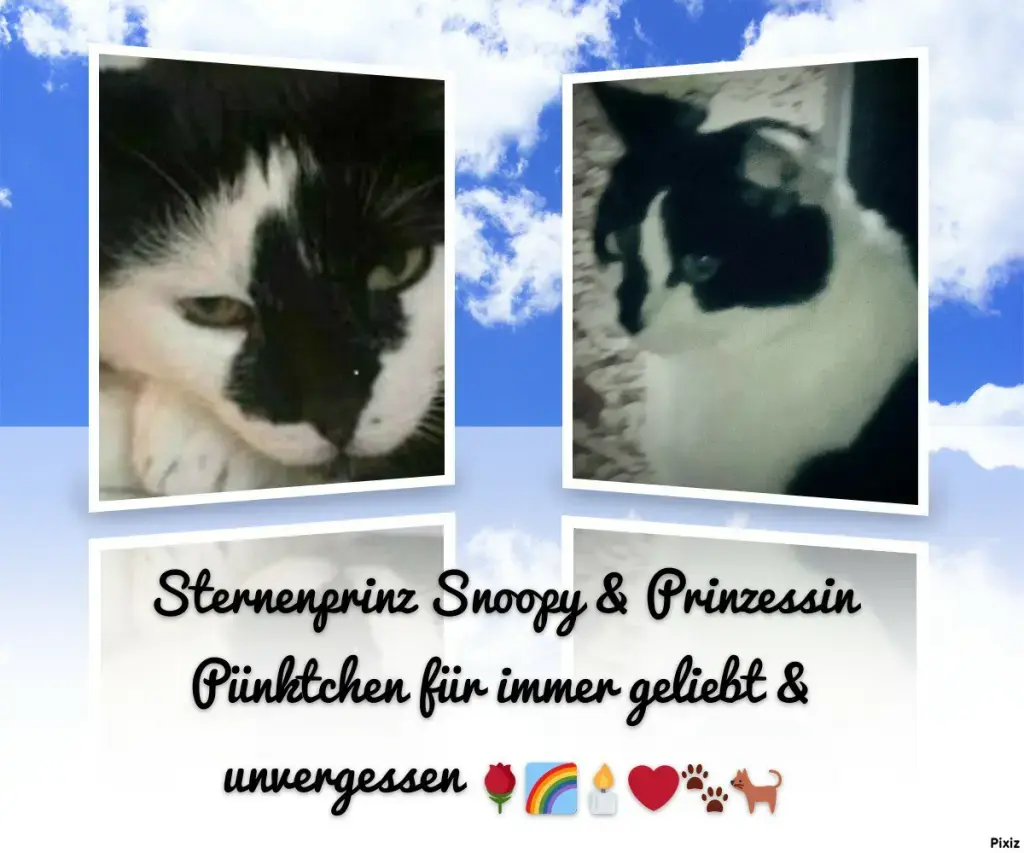 Condolence image of Snoopy und Pünktchen❤️❤️