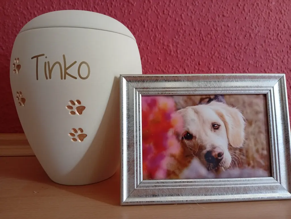 Image from Tinko