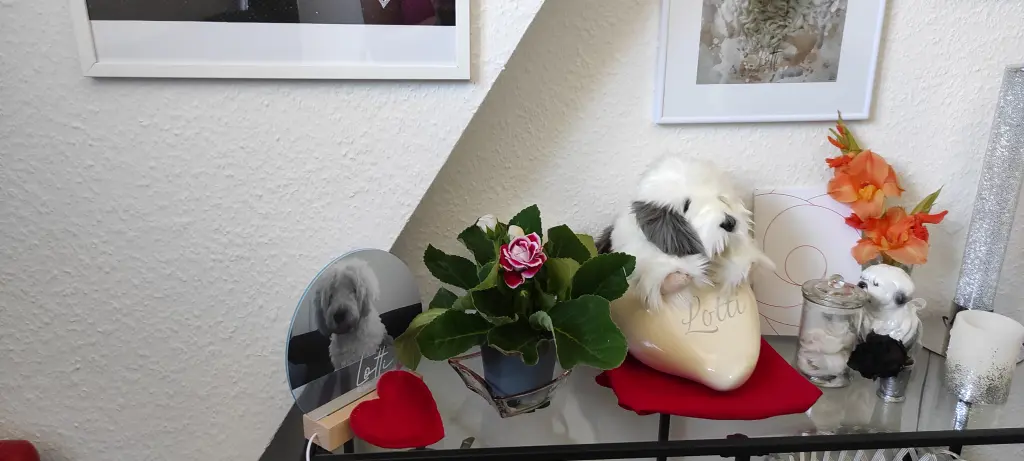 Andachtsbild von Ramona Fritzsche