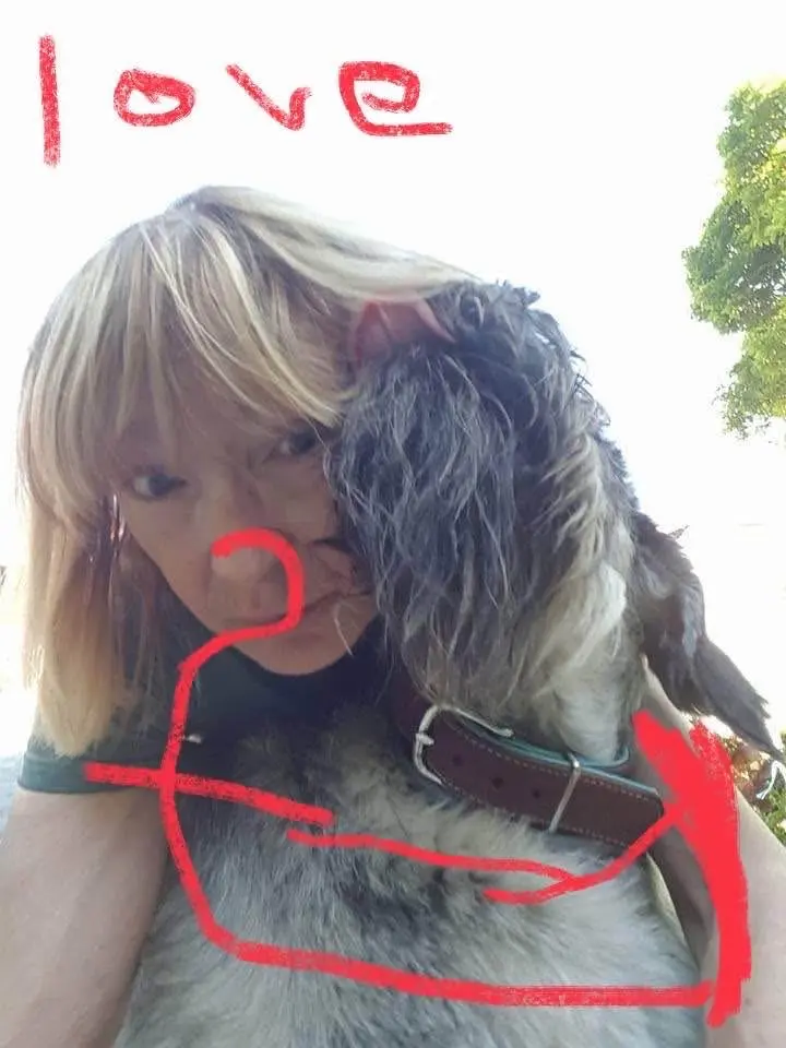 Image from Juna