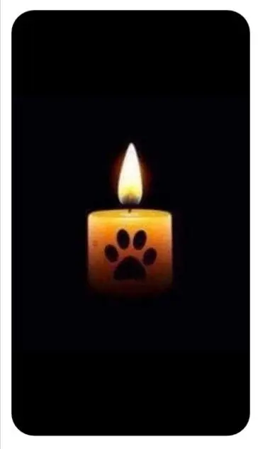 Condolence image of Birgit Conradi