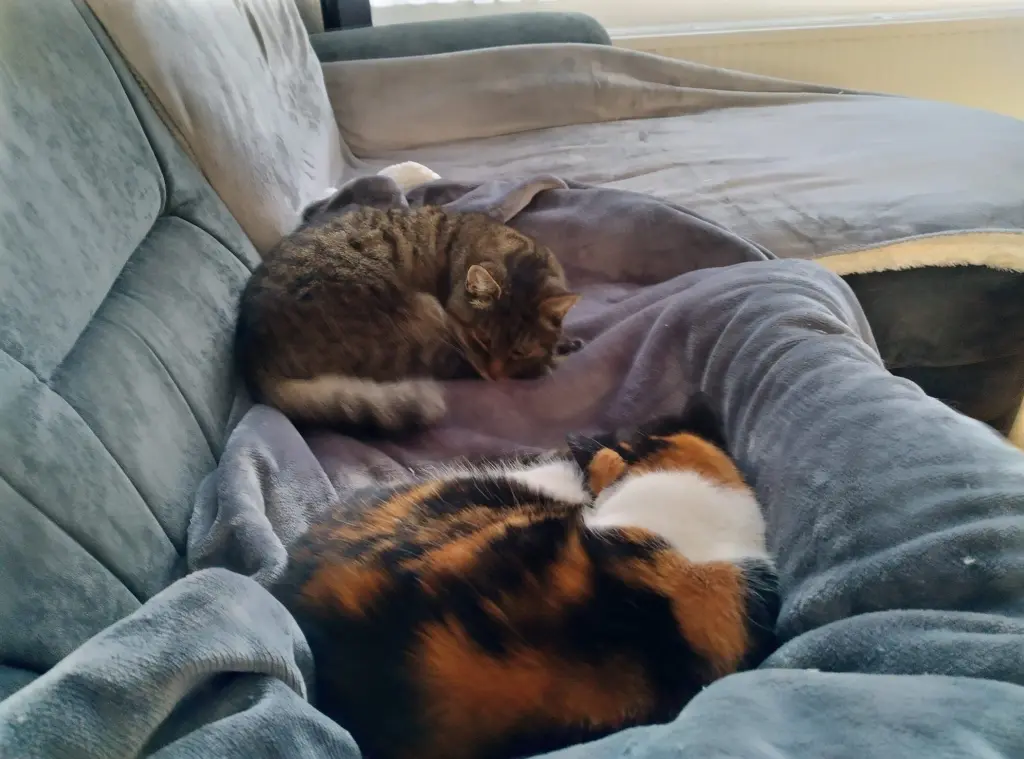 Image from Max