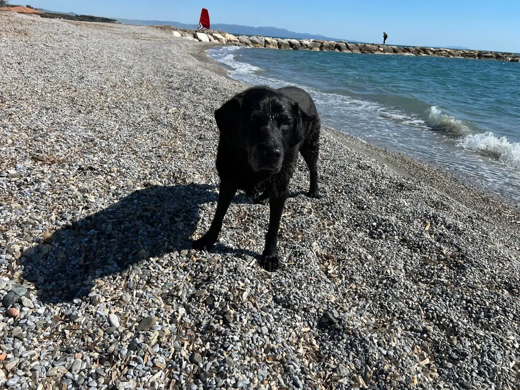 Image from Lilly