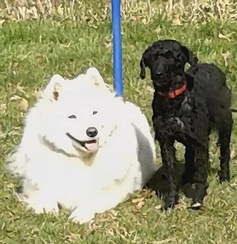 Kya und Nelly