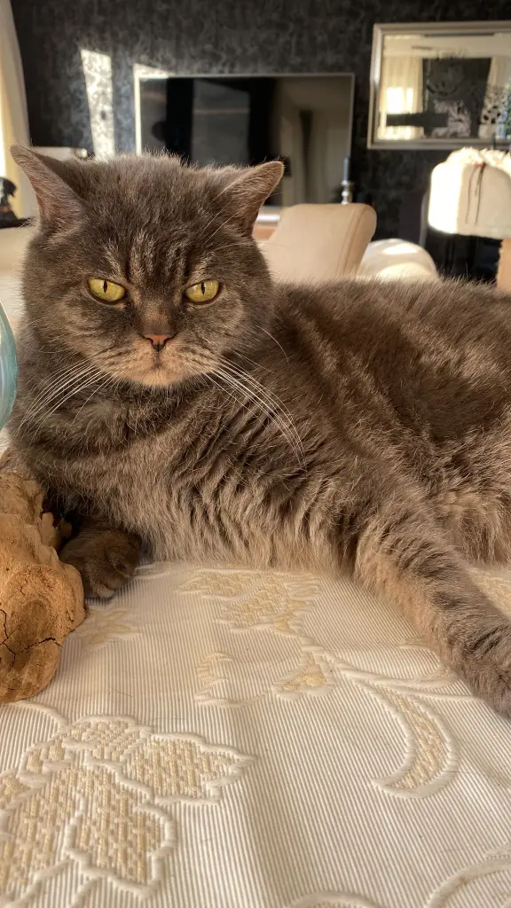 Condolence image of Elke mit Minion