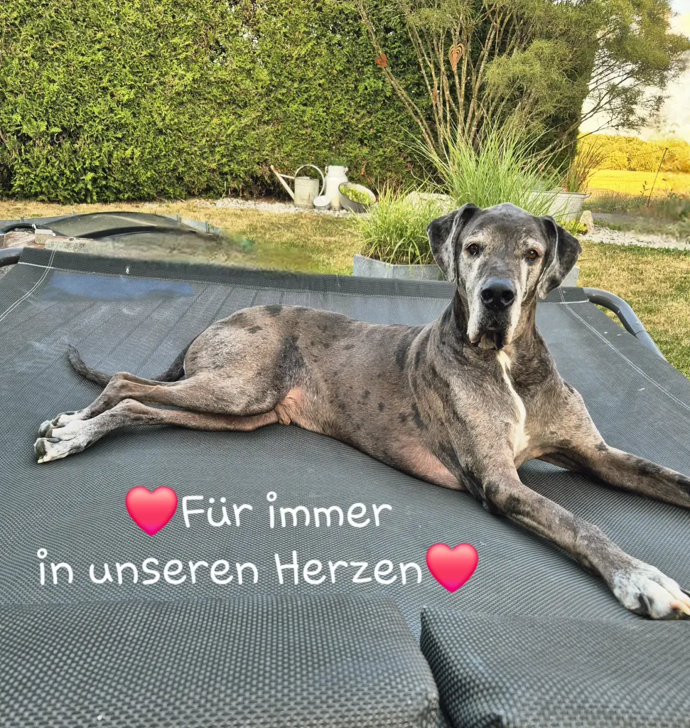 Bild von Patch