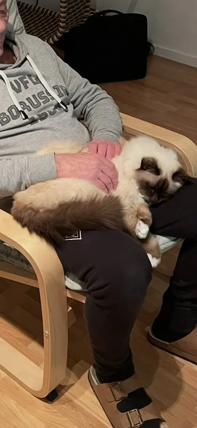 So lag er am liebsten.