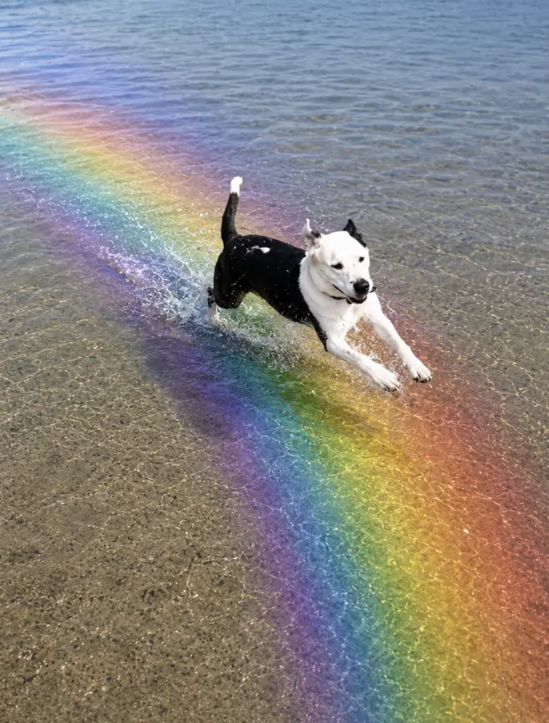 Image from Lotta