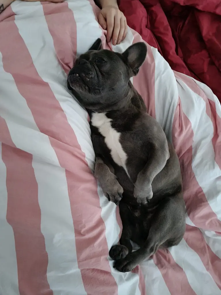 Andachtsbild von Kristina