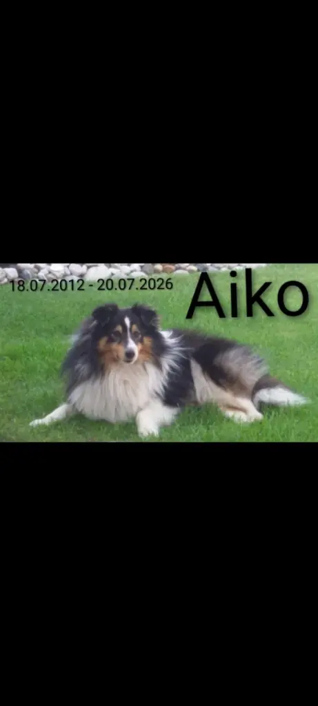 Image from Aiko