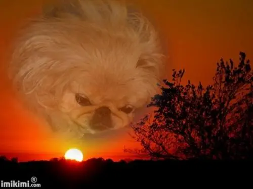 Image from ? meine entzückende perfekte Sina ?