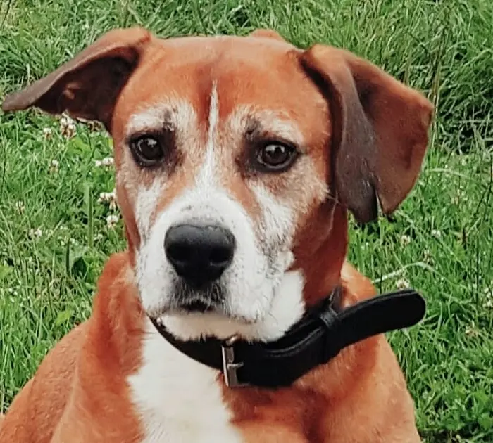 Andachtsbild von Iris mit Tayler im Herzen