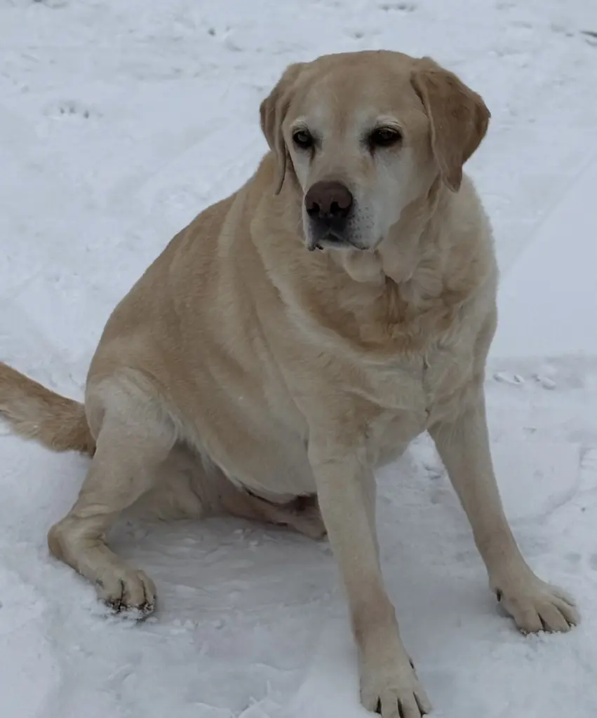 Dein letzter Tag im Schnee
