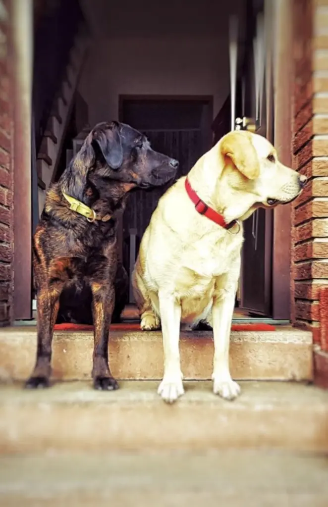Dein Bruder Leo und du.Ein Herz und eine Seele
