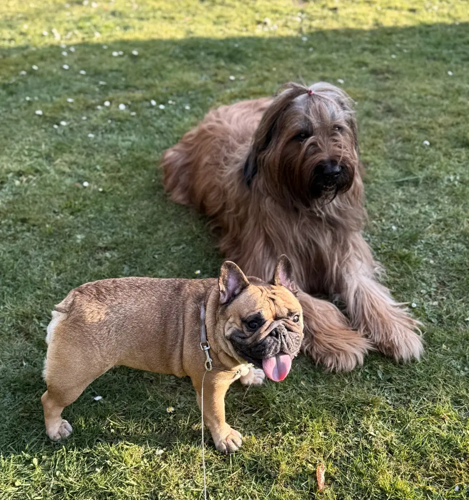 Condolence image of Sonja S
