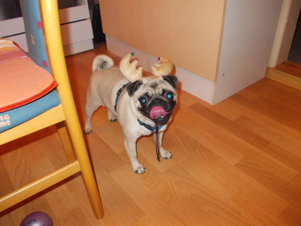 Image from Nelly