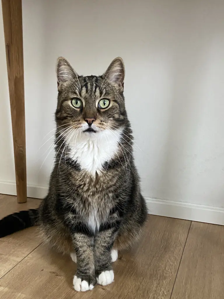Bild von Max