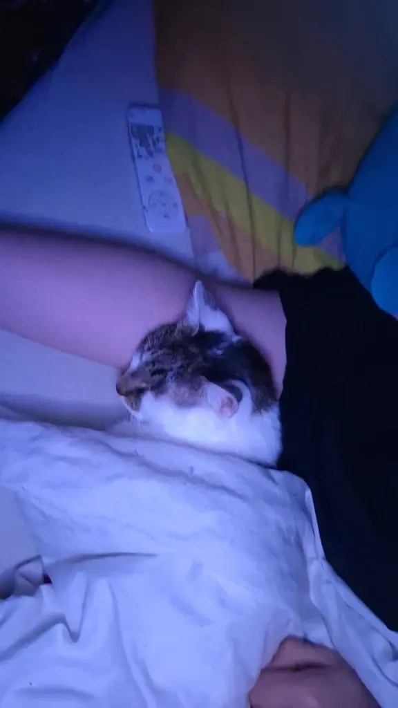 Du wolltest immer in meinem arm schlafen es ging kein tag ohne aus .