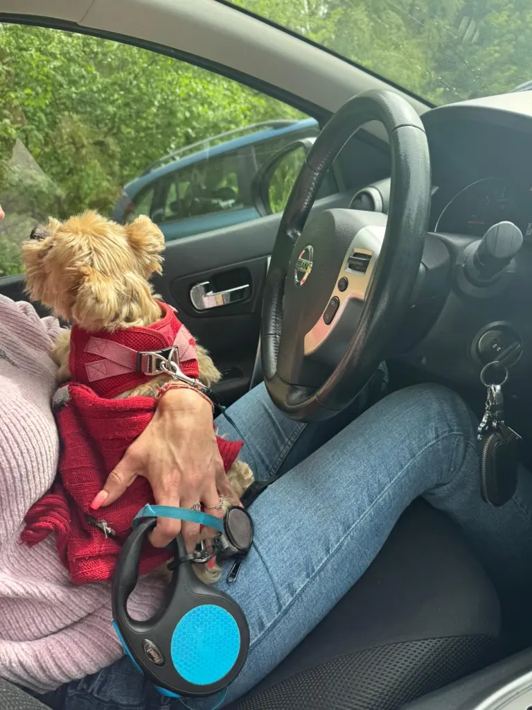 Auto fahren 🥰