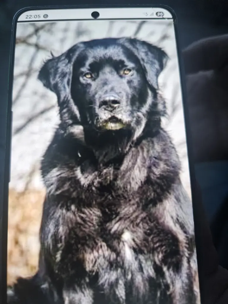 Bild von Lucky