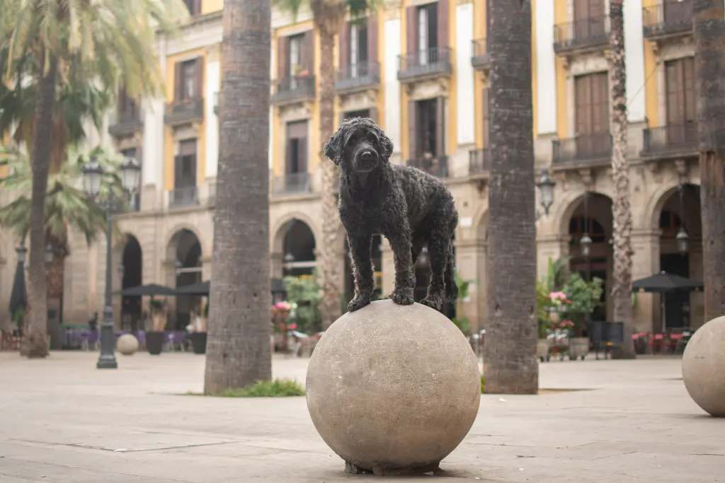 Barcelona 2021