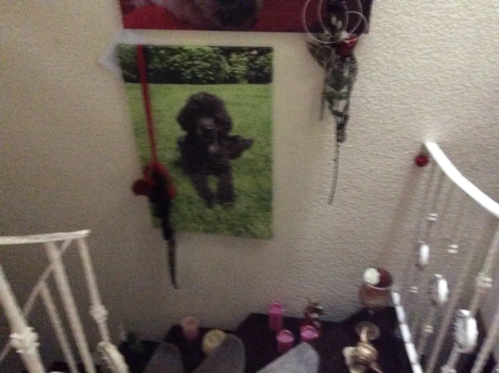 Andachtsbild von Heidelore 