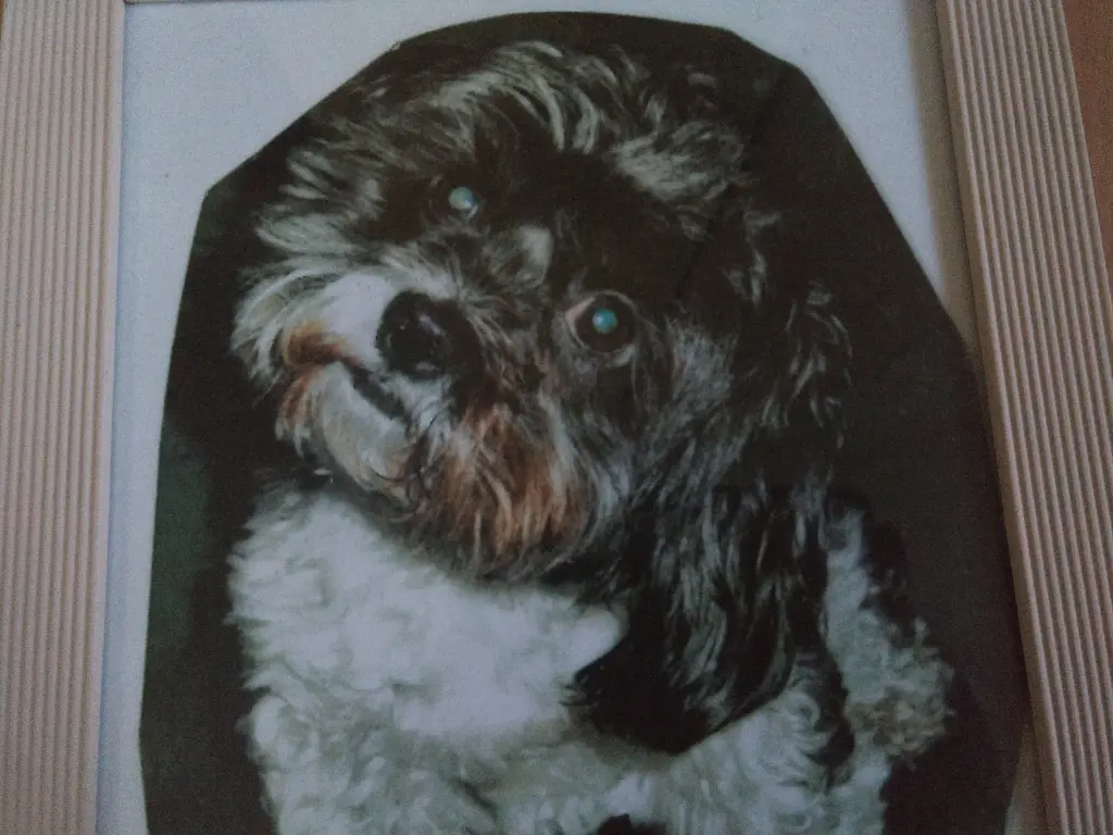 Andachtsbild von Sigrid