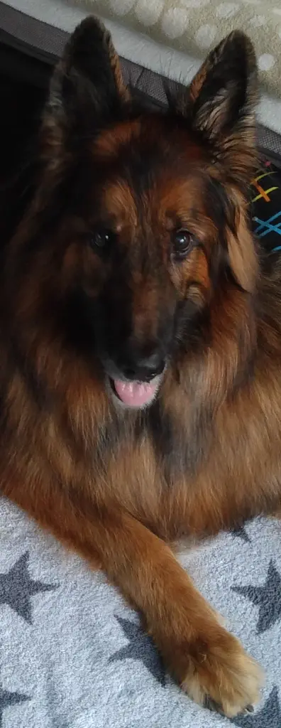 Andachtsbild von Klaudia fur Misiu❤❤❤