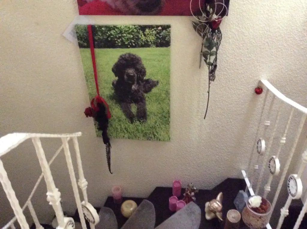 Andachtsbild von Heidi