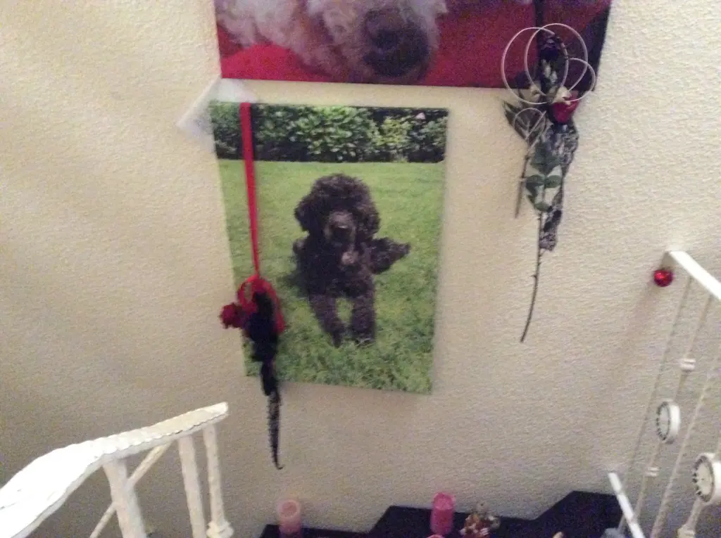 Andachtsbild von Heidi 