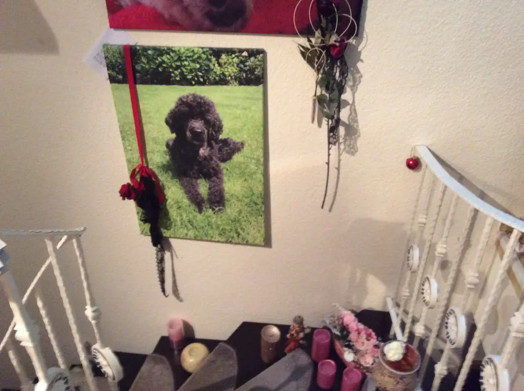 Andachtsbild von Heidi 