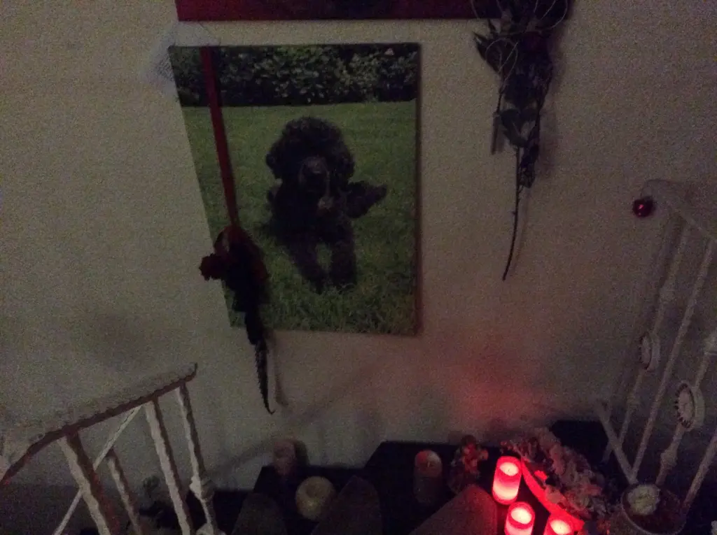 Andachtsbild von Heidi 