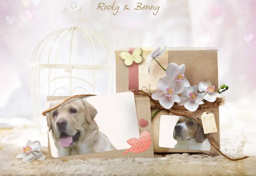 Andachtsbild von Christian mit