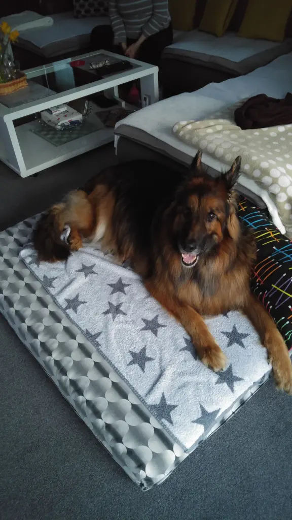 Andachtsbild von Klaudia mit Misiu❤❤❤